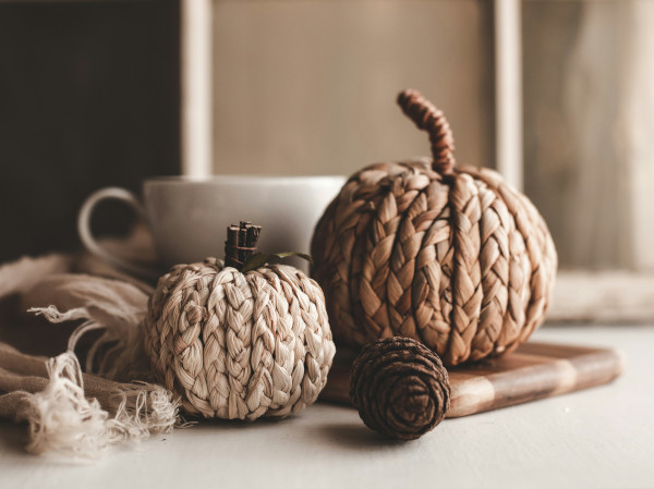 Mooda_autumn_4.jpg